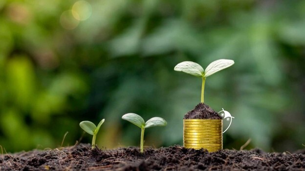 Plants with coins